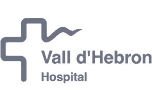 Vall_d_hebron_gris