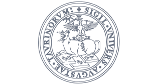logo_turin_gris